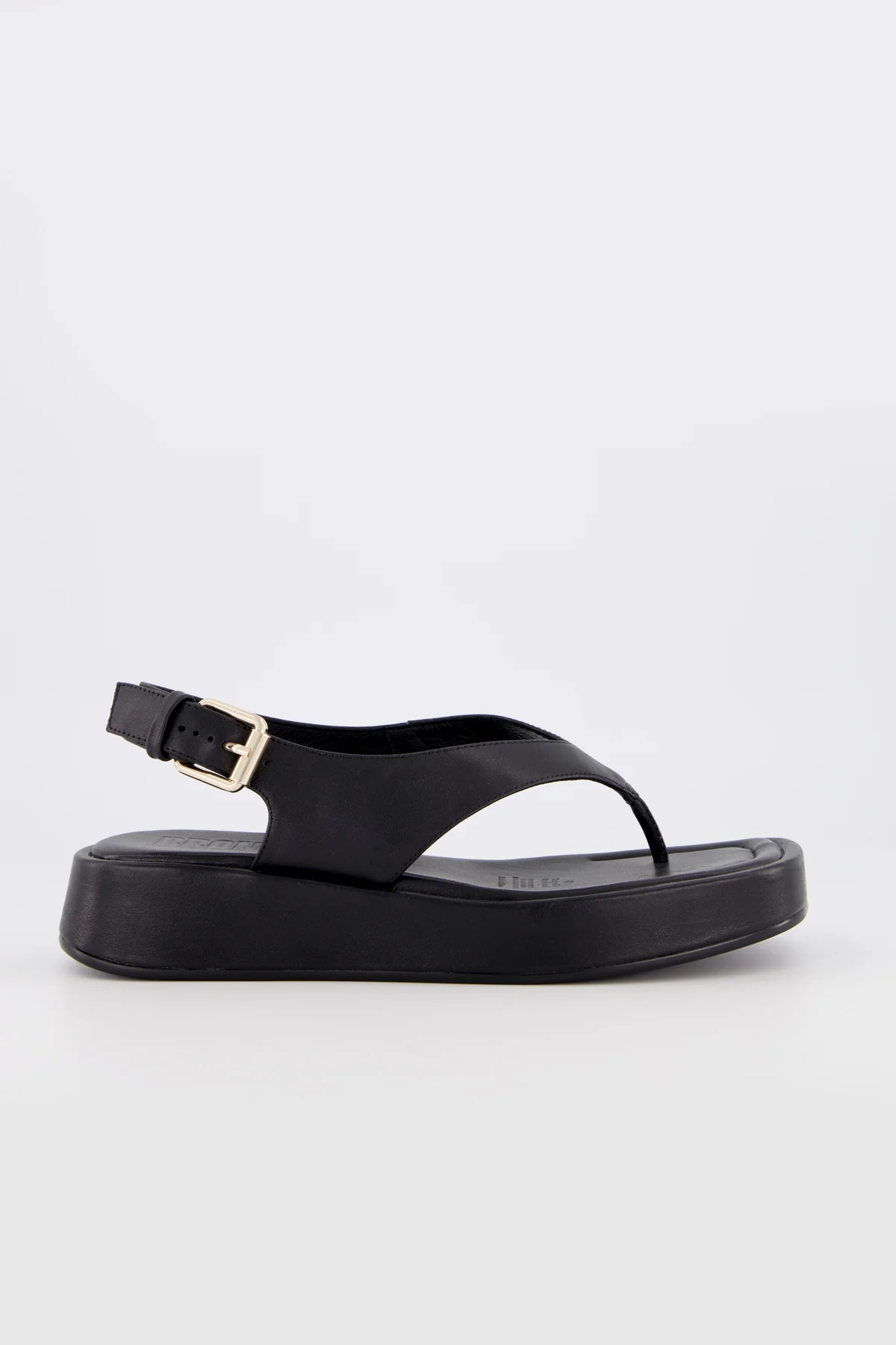 Jocelyn - Image 16