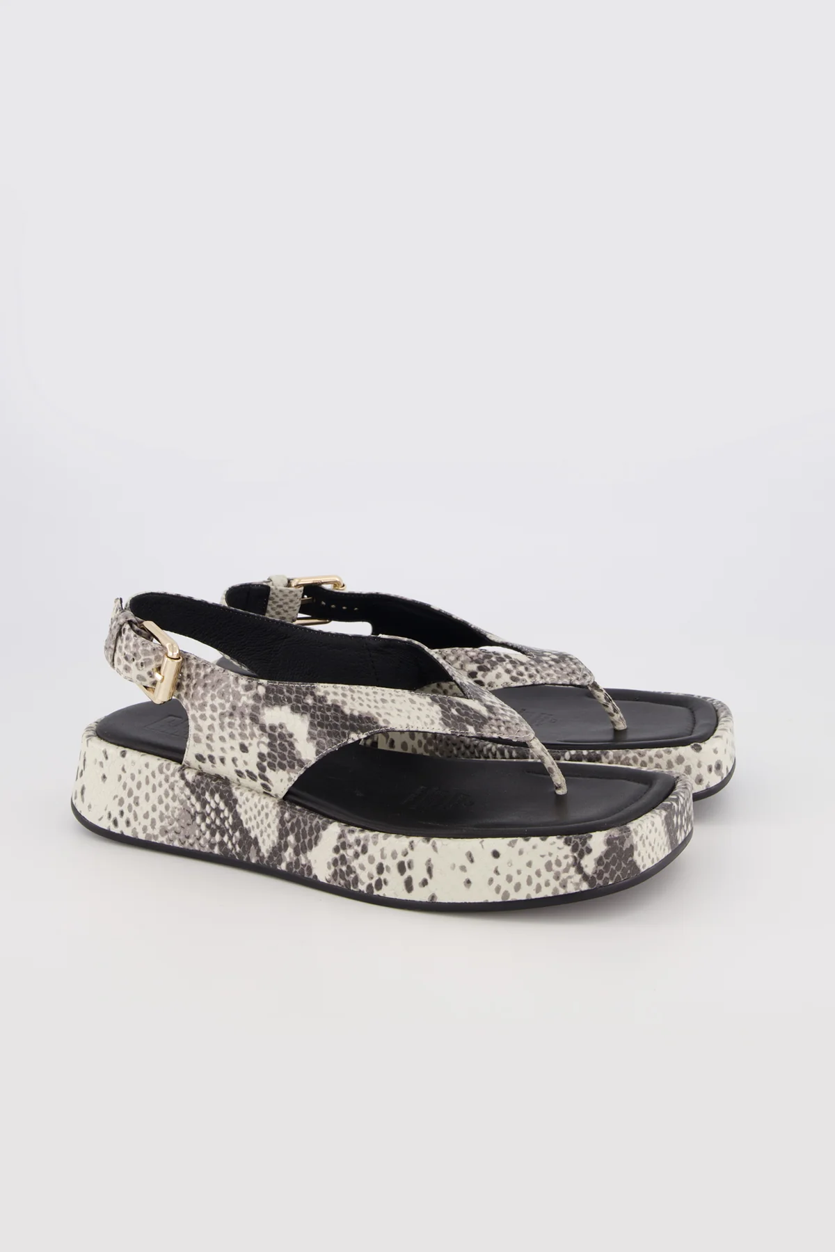 Jocelyn - Image 7