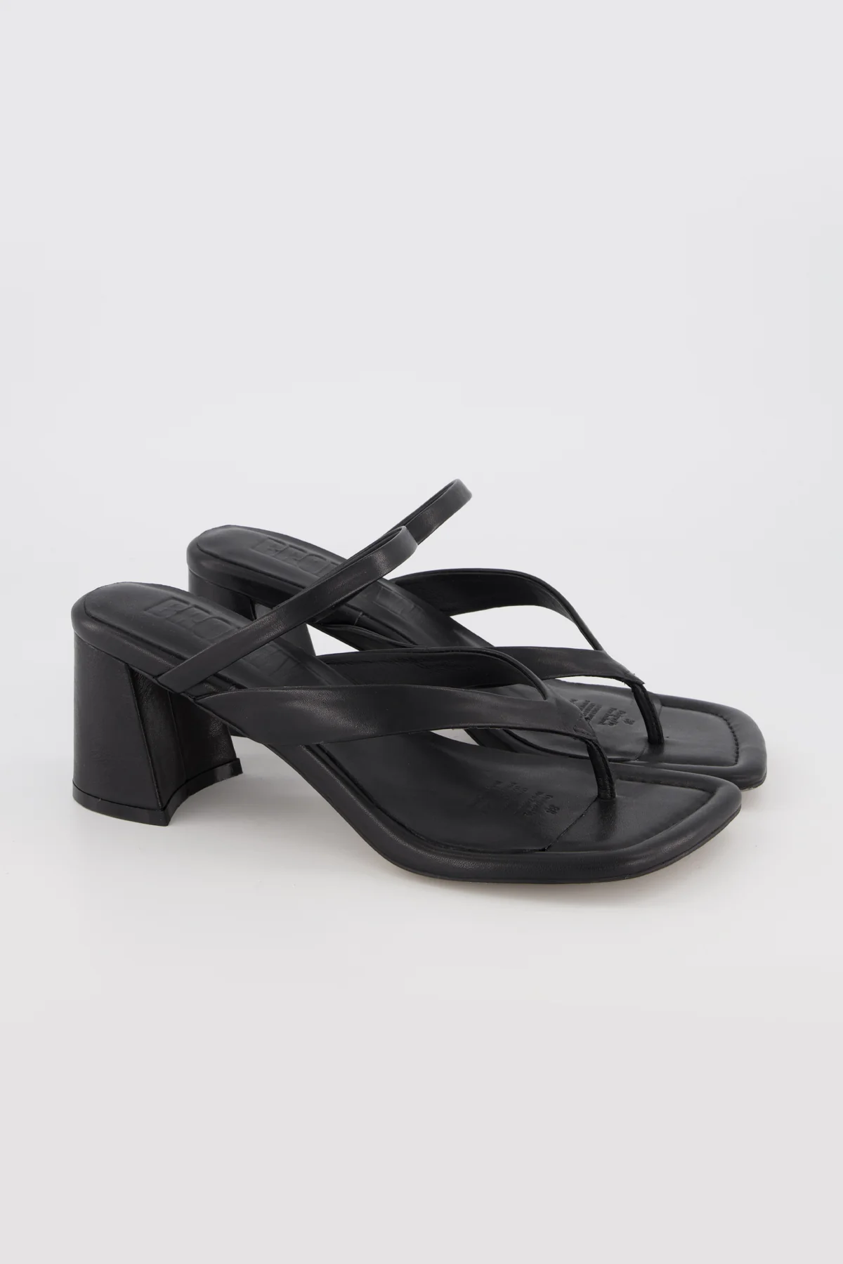Lottie - Image 11