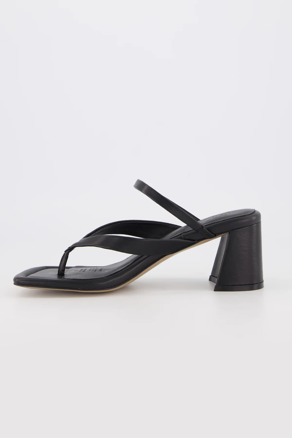 Lottie - Image 13