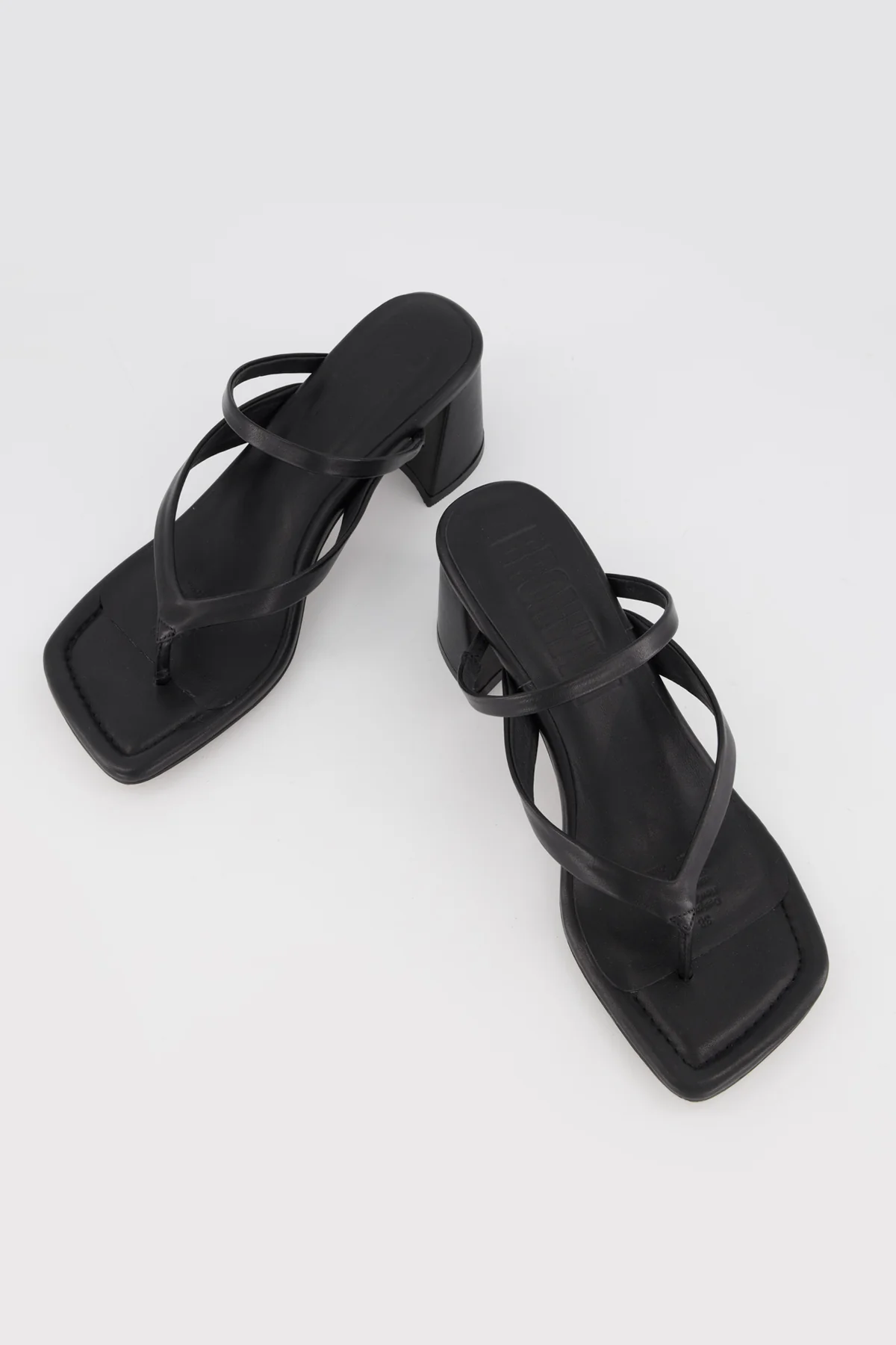 Lottie - Image 14