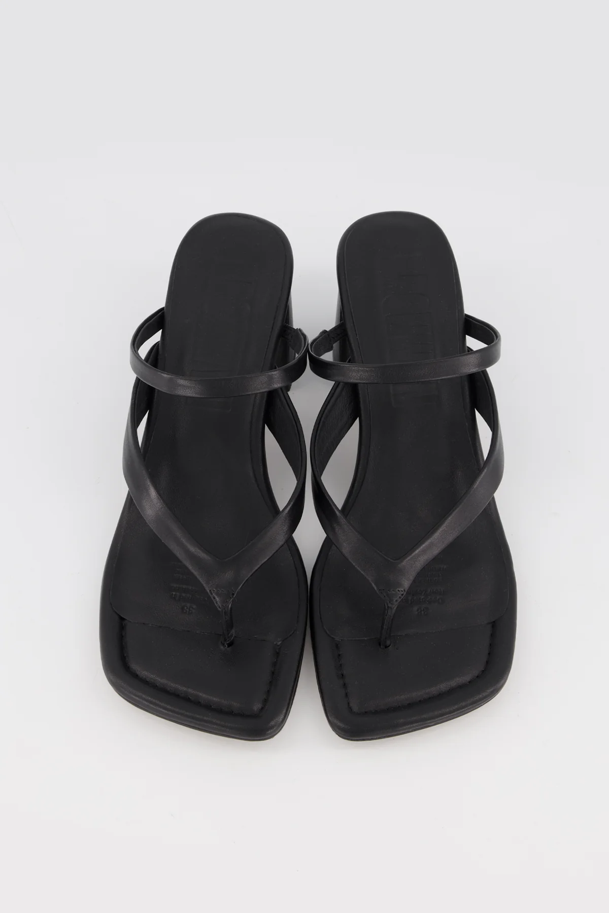 Lottie - Image 15