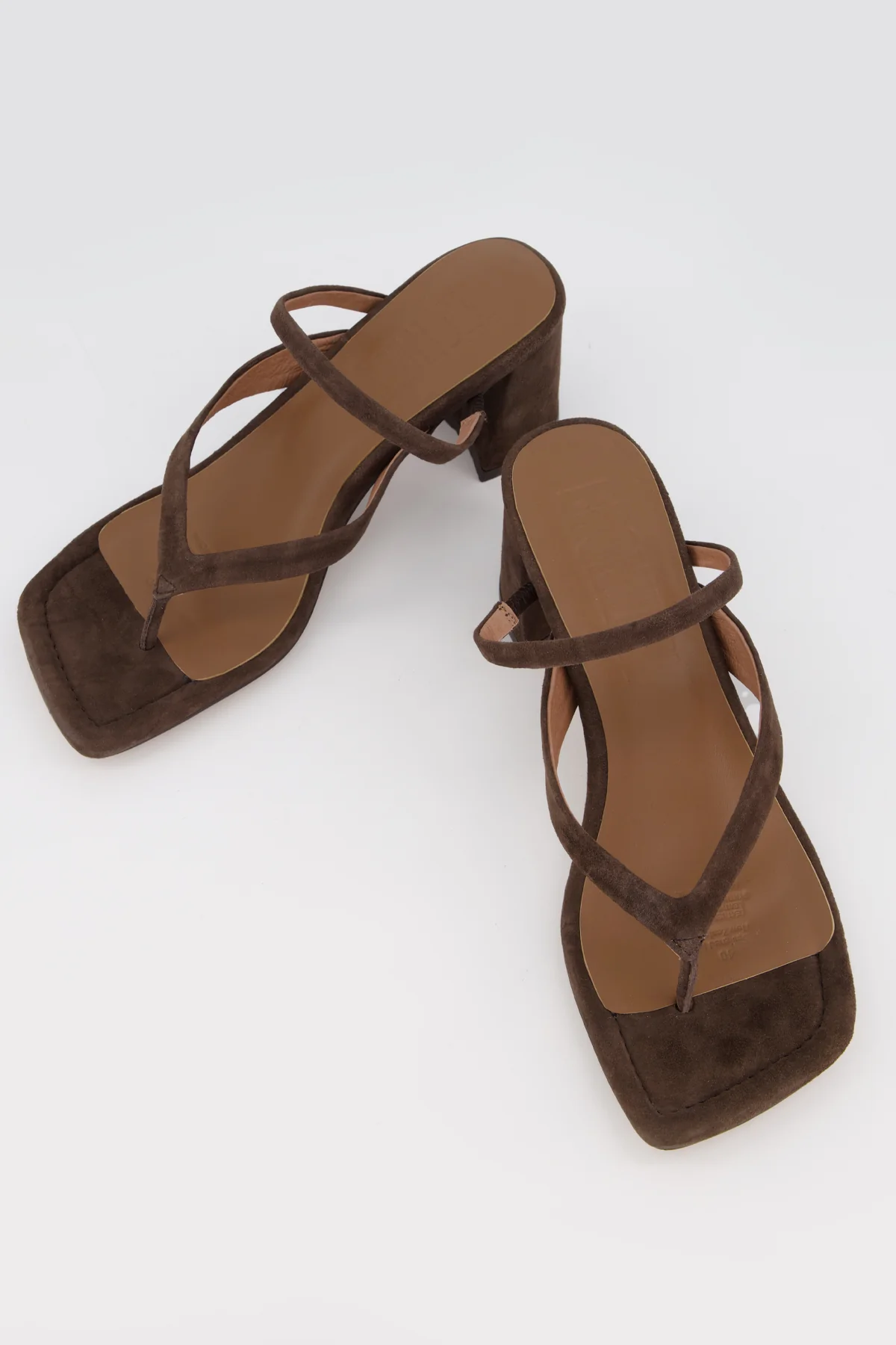 Lottie - Image 4