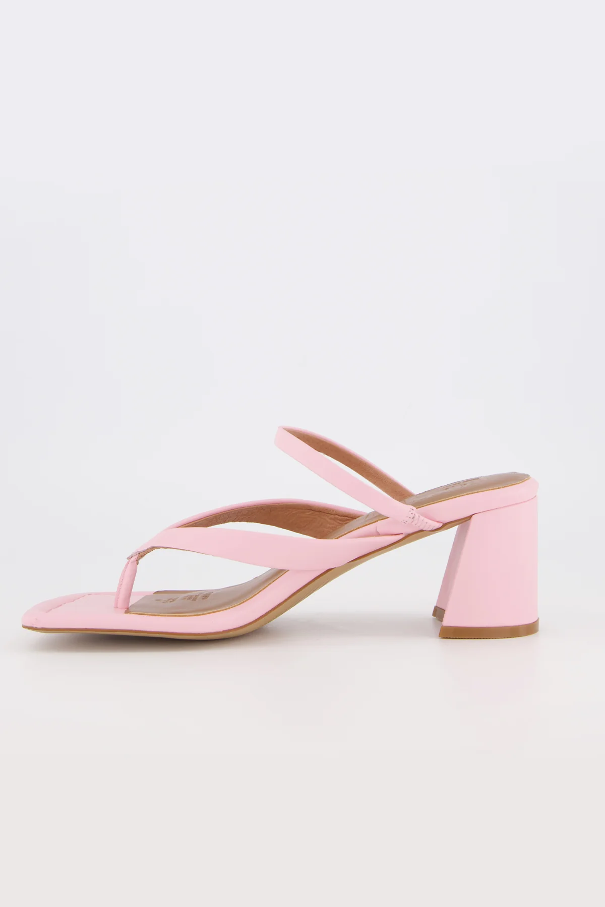 Lottie - Image 8