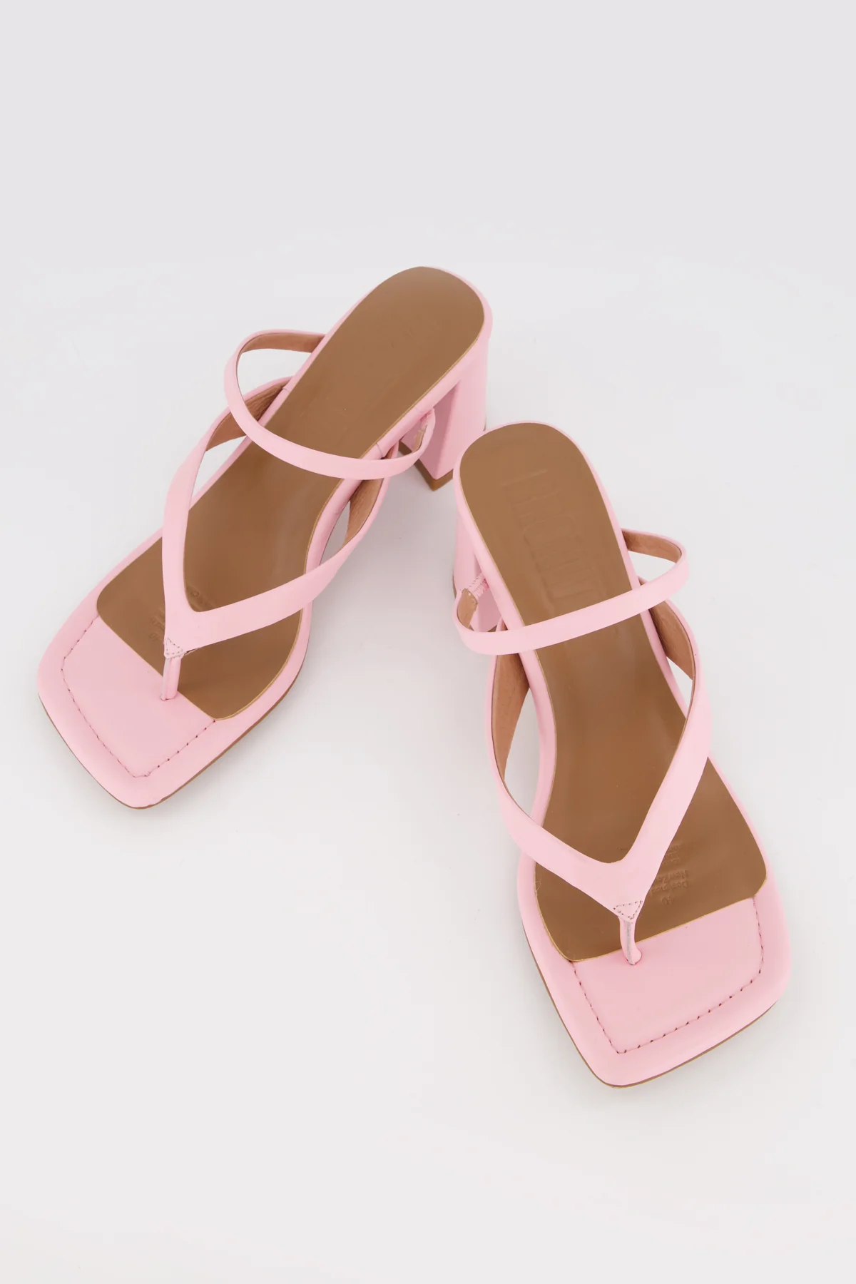 Lottie - Image 9