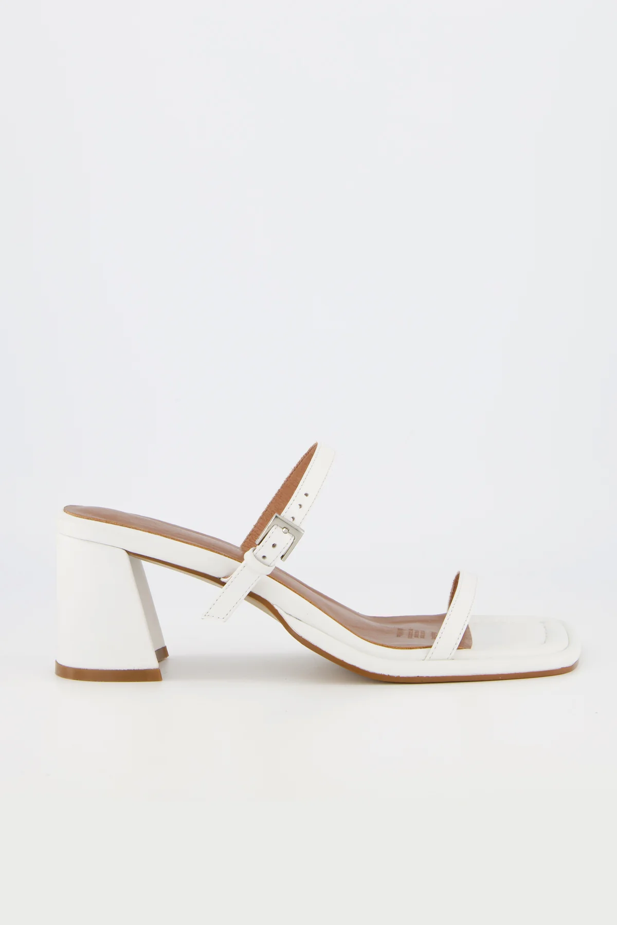 Lucia Orchid - Image 4